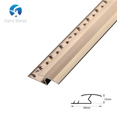 Jalur Transisi Z Bar